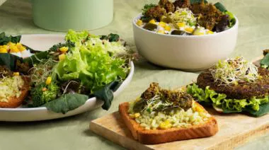 plating-instructions-image